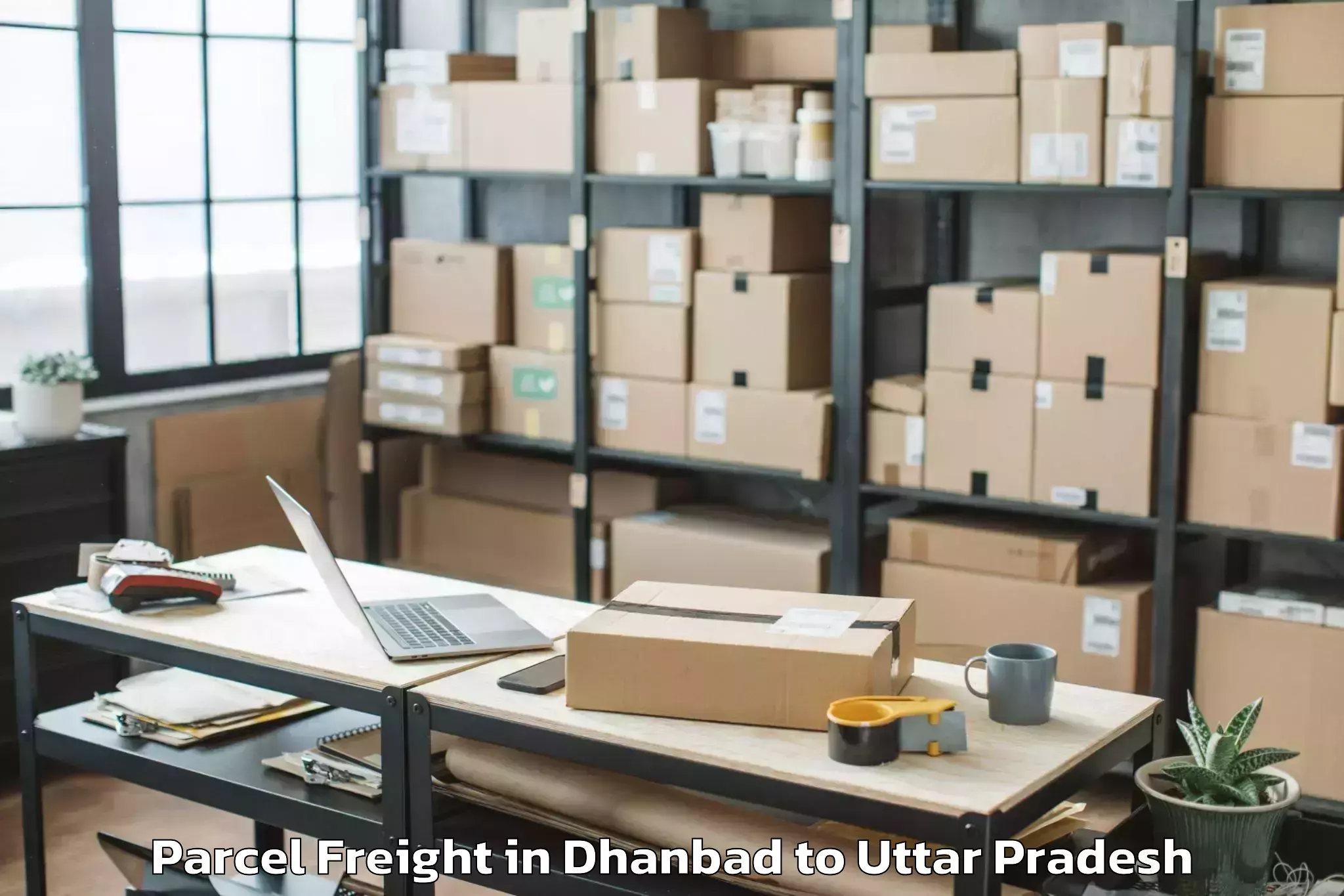 Book Dhanbad to Bisauli Parcel Freight Online